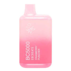 Cranberry Puncher ElfBar BC5000