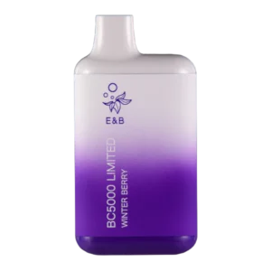 Winter Berry ElfBar BC5000